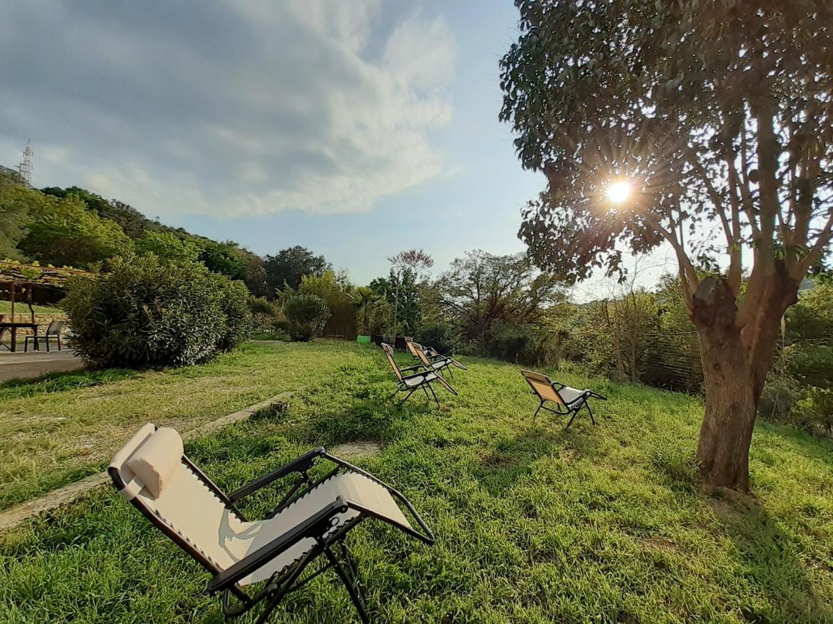 Dimora Il Camaleonte Apartments In Nature With Pool Civitavecchia Bagian luar foto