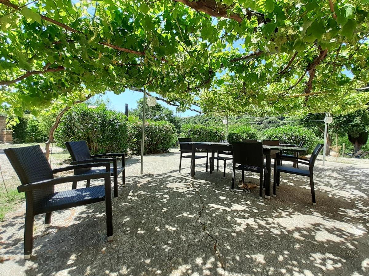 Dimora Il Camaleonte Apartments In Nature With Pool Civitavecchia Bagian luar foto