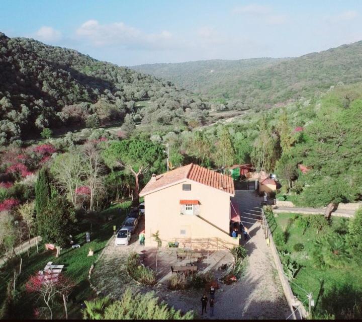 Dimora Il Camaleonte Apartments In Nature With Pool Civitavecchia Bagian luar foto