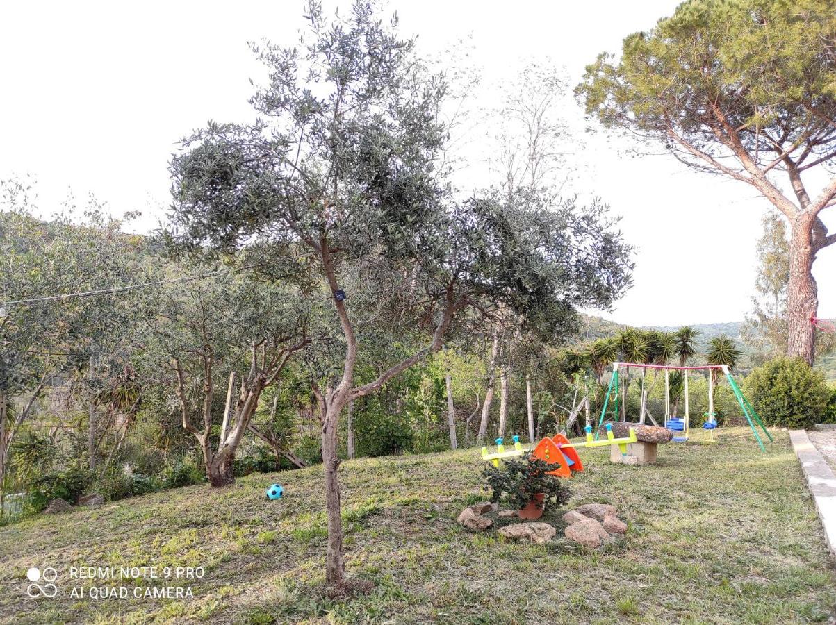 Dimora Il Camaleonte Apartments In Nature With Pool Civitavecchia Bagian luar foto
