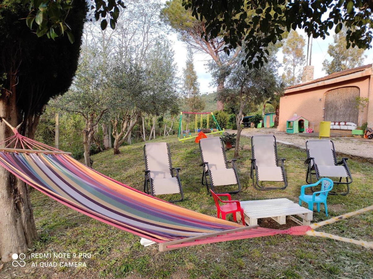 Dimora Il Camaleonte Apartments In Nature With Pool Civitavecchia Bagian luar foto