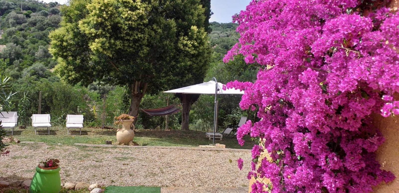 Dimora Il Camaleonte Apartments In Nature With Pool Civitavecchia Bagian luar foto