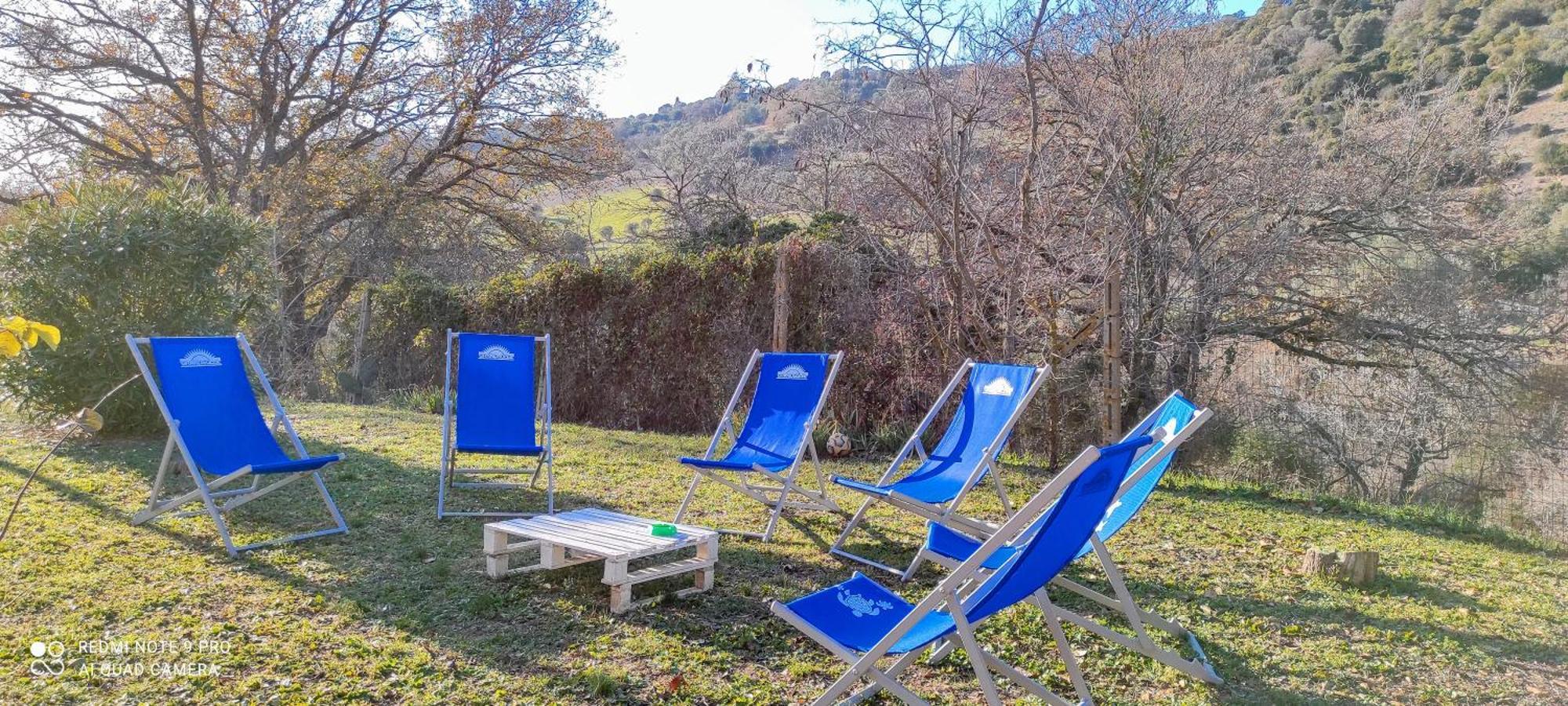 Dimora Il Camaleonte Apartments In Nature With Pool Civitavecchia Bagian luar foto