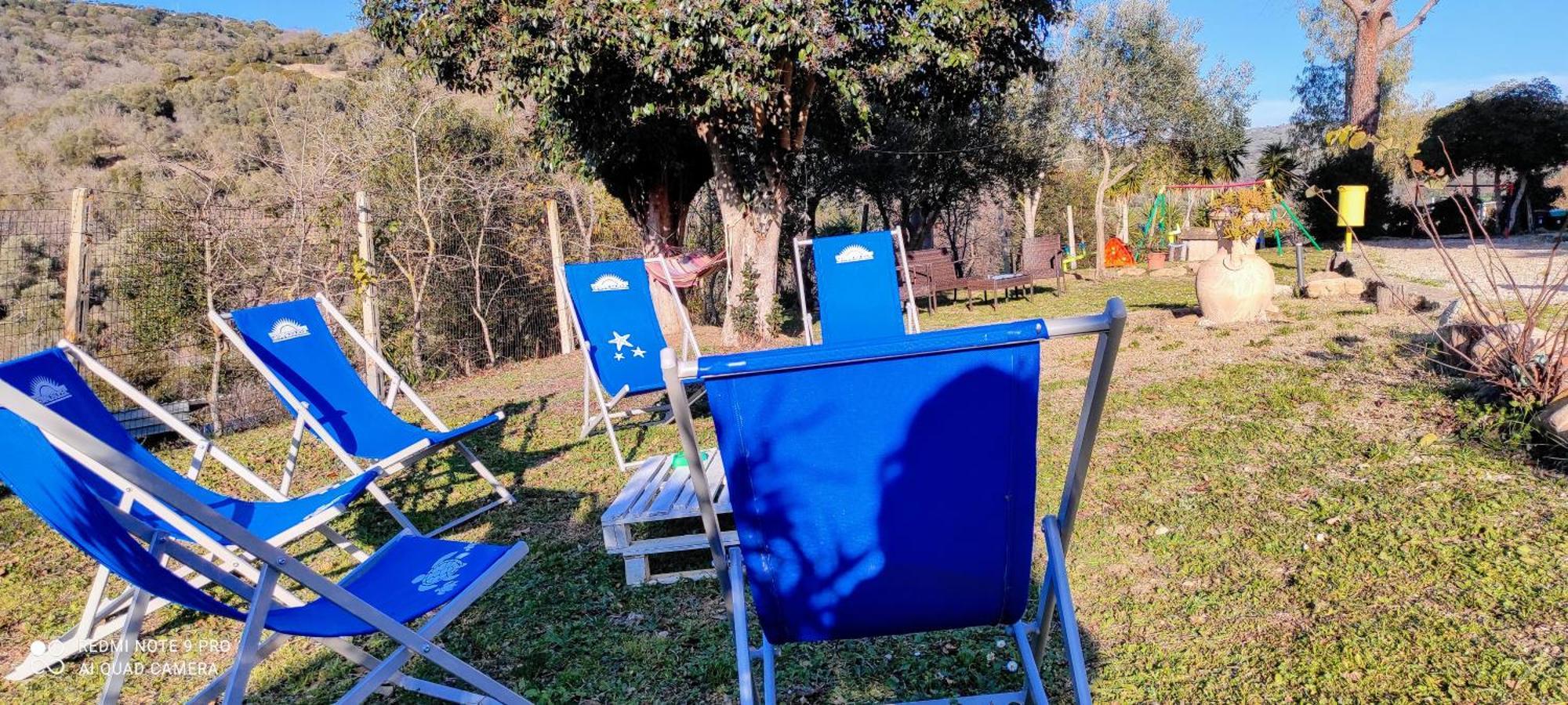 Dimora Il Camaleonte Apartments In Nature With Pool Civitavecchia Bagian luar foto