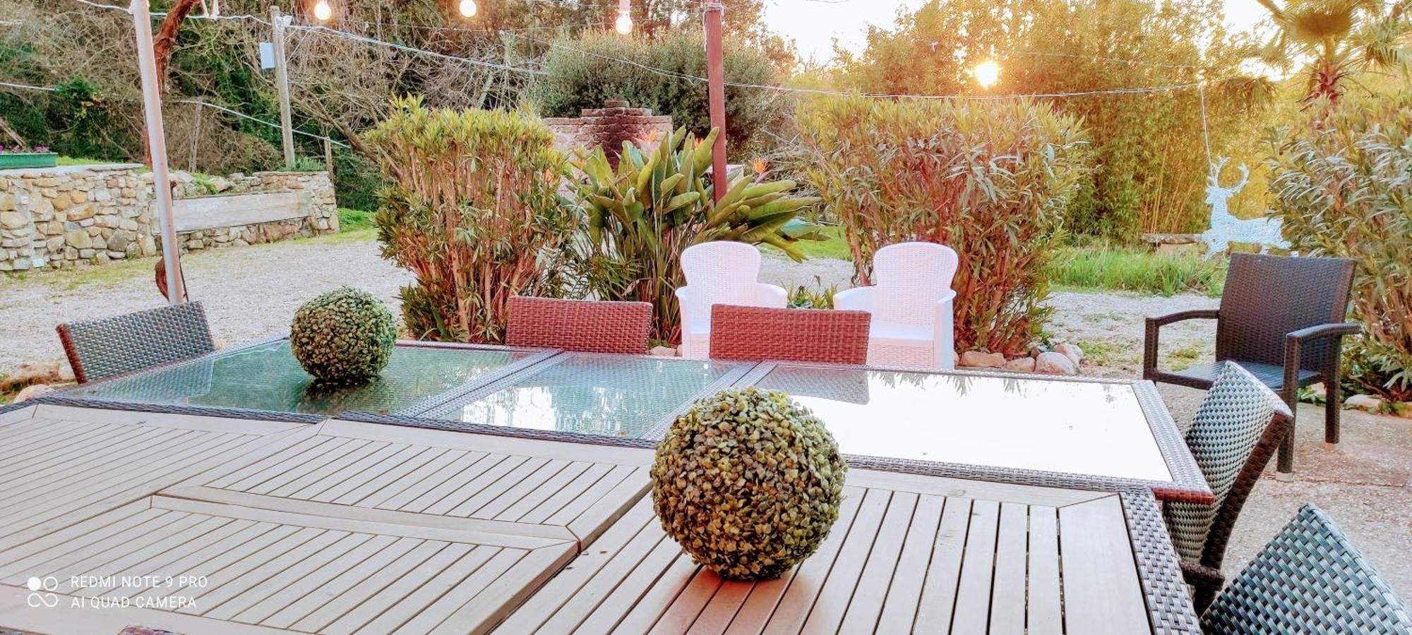 Dimora Il Camaleonte Apartments In Nature With Pool Civitavecchia Bagian luar foto