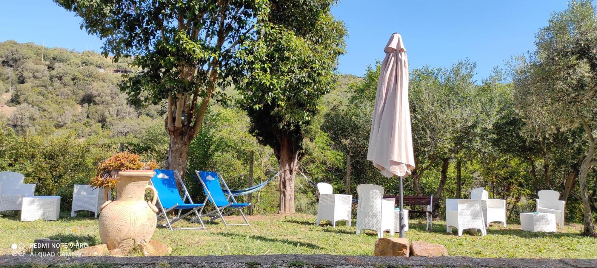 Dimora Il Camaleonte Apartments In Nature With Pool Civitavecchia Bagian luar foto